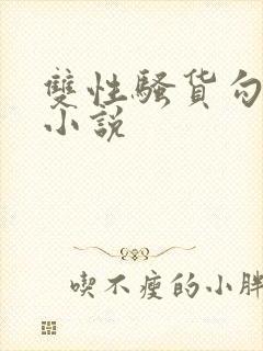 双性骚货勾引人小说