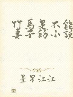竹马是不能成为妻子的小说免费阅读