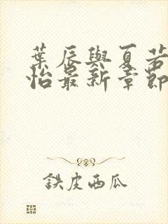 叶辰与夏若雪孙怡最新章节 小说