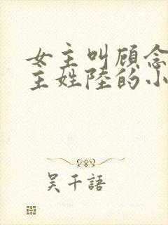 女主叫顾念念男主姓陆的小说封面