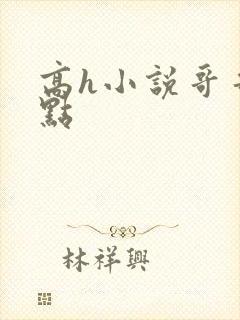 高h小说哥哥轻点