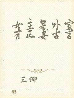 女主是外室男主有正妻古言封面