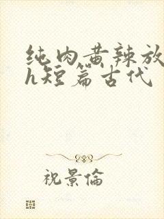 纯肉黄辣放荡高h短篇古代