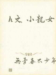 h文 小龙女