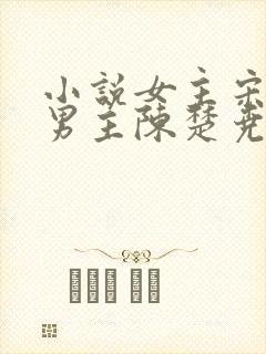 小说女主宋清禾男主陈楚尧