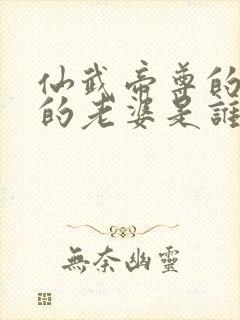 仙武帝尊的叶辰的老婆是谁封面