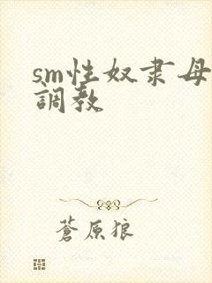 sm性奴隶母狗调教