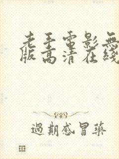 老手电影无删减版高清在线