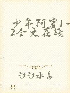 少年阿宾1一72全文在线