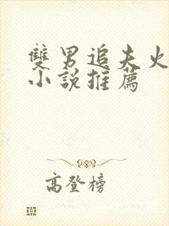 双男追夫火葬场小说推荐