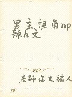 男主视角np高辣h文