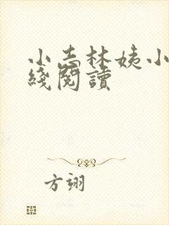 小志林姨小说在线阅读