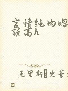 言情纯肉嗯啊小说高h封面