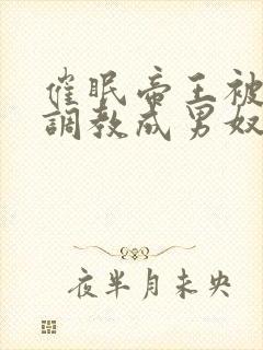 催眠帝王被主人调教成男奴封面