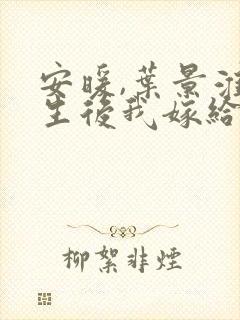 安暖,叶景淮重生后我嫁给了渣男的死对头