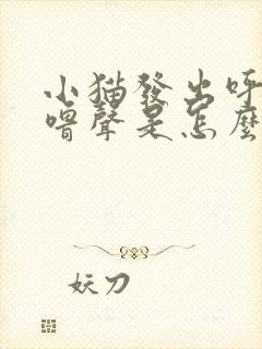 小猫发出呼噜呼噜声是怎么回事?封面