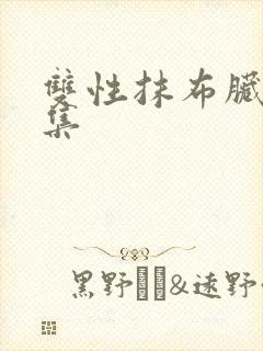 双性抹布脏肉合集