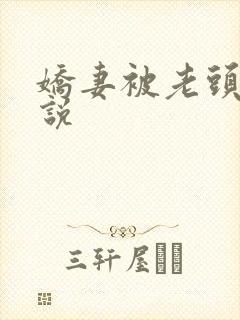 娇妻被老头干小说