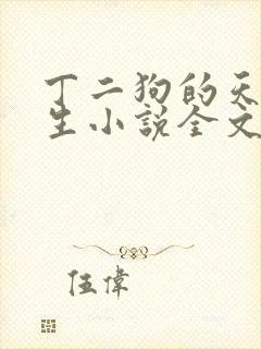 丁二狗的天梯人生小说全文免费阅读