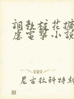 调教校花扩张乳虐电击小说封面