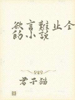 欲言难止全免费的小说