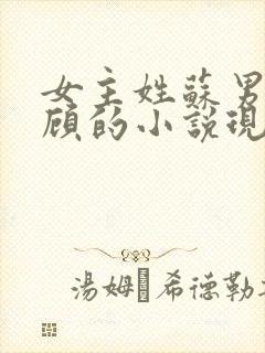 女主姓苏男主姓顾的小说现代言情封面