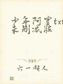 少年阿宾txt未删减版