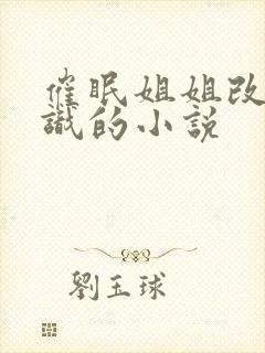 催眠姐姐改变常识的小说