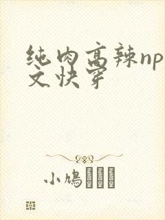 纯肉高辣np爽文快穿
