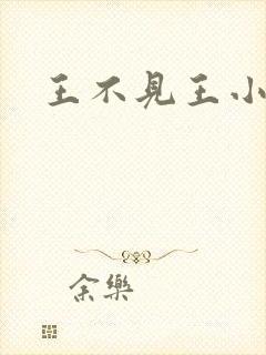 王不见王小说读