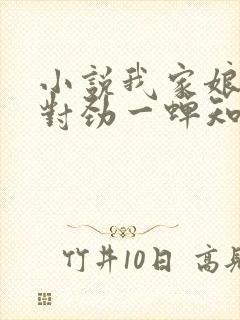 小说我家娘子不对劲一蝉知夏全文在线阅读