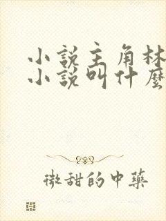 小说主角林辰的小说叫什么