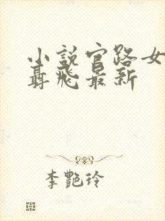 小说官路女人香聂飞最新