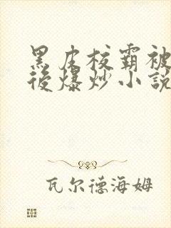 黑皮校霸被发现后爆炒小说封面