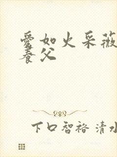 爱如火采薇阿铭养父