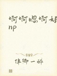 啊啊嗯啊好舒服np