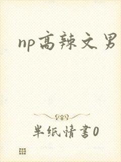 np高辣文男男