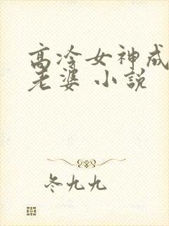 高冷女神成了我老婆 小说