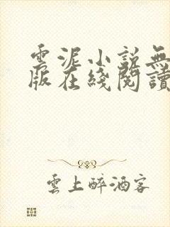 云泥小说无删减版在线阅读封面