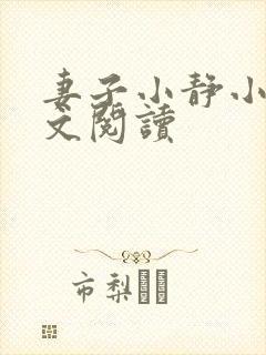 妻子小静小说全文阅读