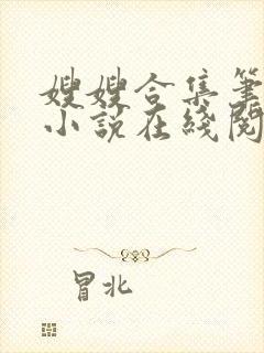 嫂嫂合集笔趣阁小说在线阅读