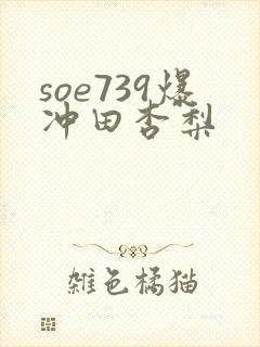 soe739爆冲田杏梨