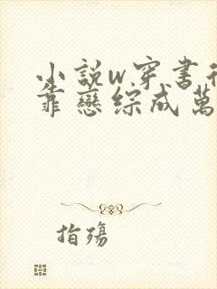 小说w穿书后我靠恋综成万人迷》