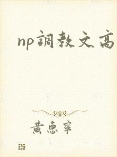 np调教文高h