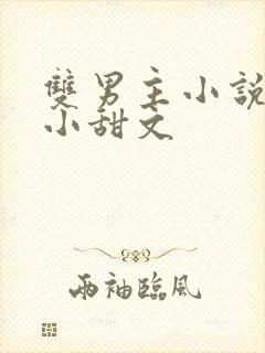 双男主小说推荐小甜文