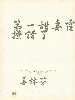 第一甜妻霍先生撩错了