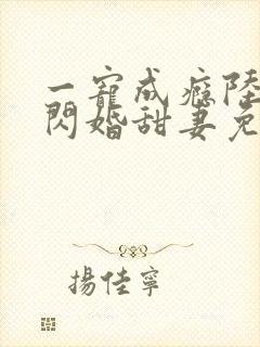 一宠成瘾陆少的闪婚甜妻免费阅读