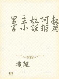 男主姓何叔嫂古言小说推荐封面