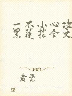 一不小心攻略了黑莲花全文阅读