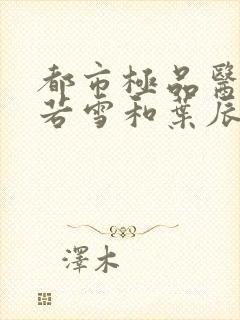 都市极品医神夏若雪和叶辰孙怡封面